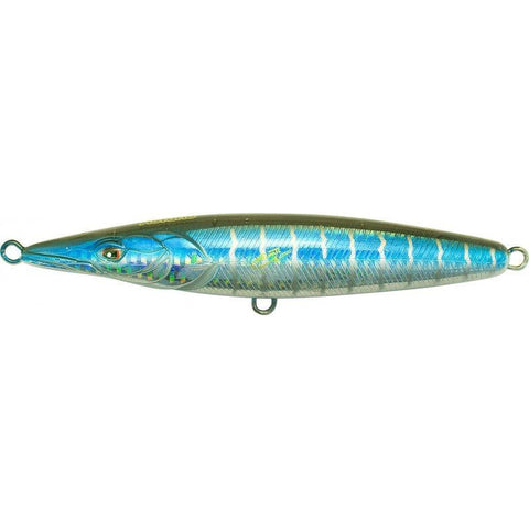 Xorus Asturie 110 - Little Tuna