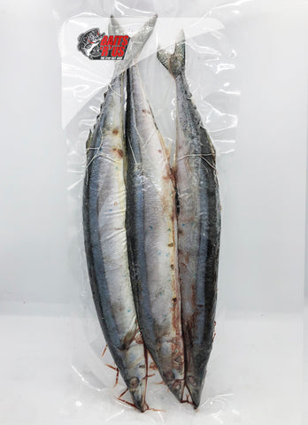 NEW! Blueys 3 Per Bag (Pacific Saury)