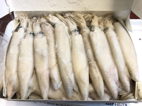 Calamari Squid 5lB