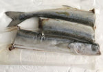 Garfish