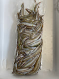 1kg Sand Eels Bag