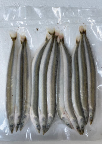 Sand Eels - Medium (Brands Vary)