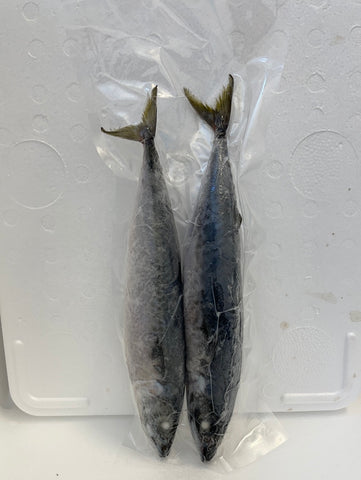 Whole Mackerel 2 Per Bag (IQF Packed)