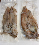 Dirty Illex Squid Handy Pack - Large/XL