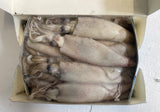 Calamari Squid 3lB