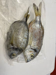 Sea Bream 2-4 Per Bag