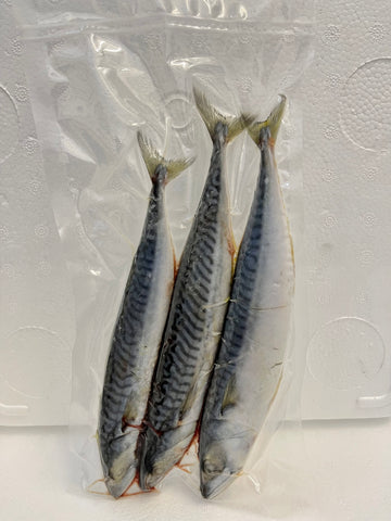 Joey Mackerel (Cornish Caught)