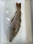 Pollock 1 Per Bag