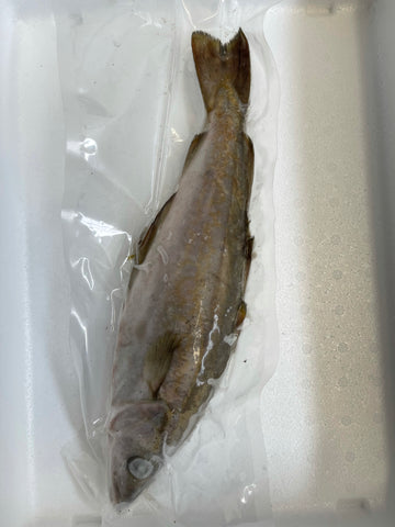 Pollock 1 Per Bag