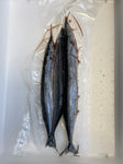 Blueys 3 Per Bag (Atlantic Saury)