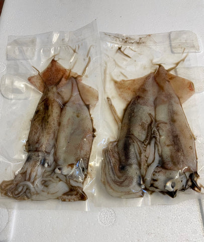 Dirty Illex Squid Handy Pack - Medium