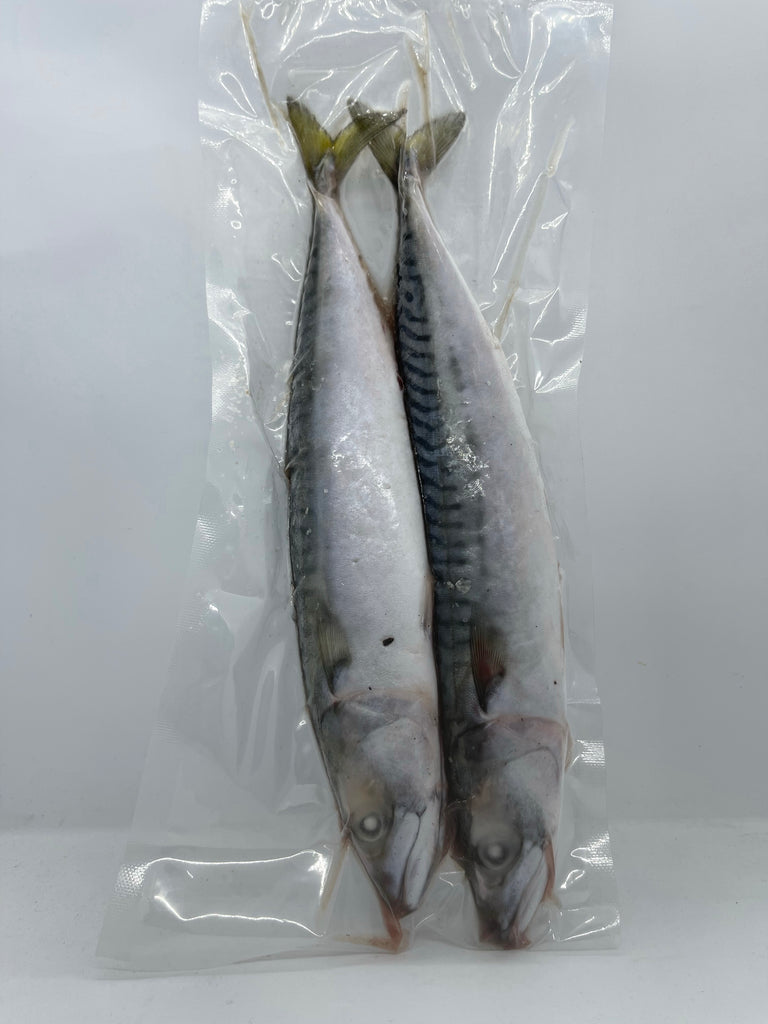 Whole Mackerel Per Bag Cornish Caught) - Main Image