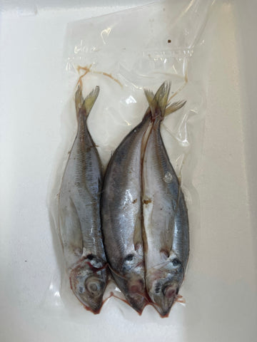 Scads (Horse Mackerel) 3 Per Bag