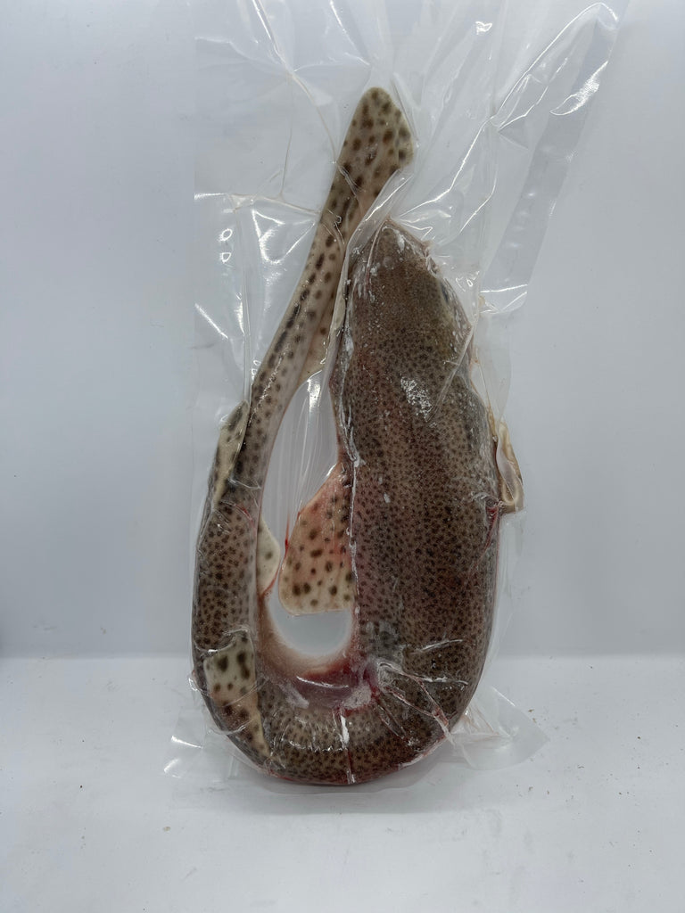 Dogfish – Baits'R'Us