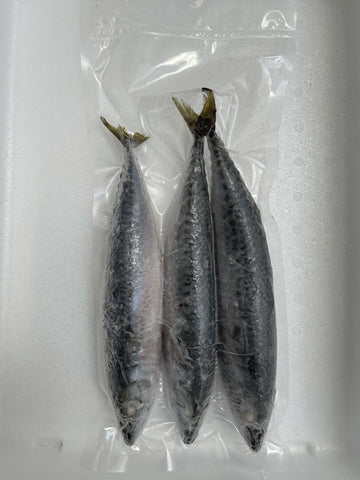 Whole Mackerel 3 Per Bag (IQF Packed)
