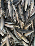 Joey Mackerel (IQF Packed)