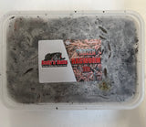 Frozen Ragworm 1lb Tub