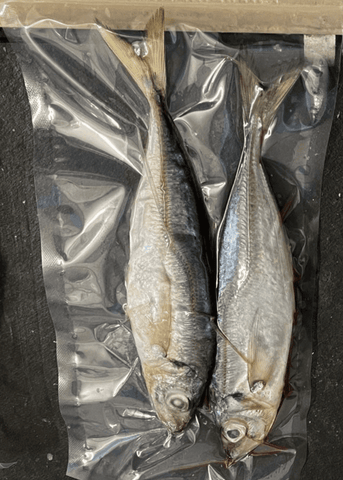 Scads (Horse Mackerel) 2 Per Bag