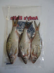 Standard Bream
